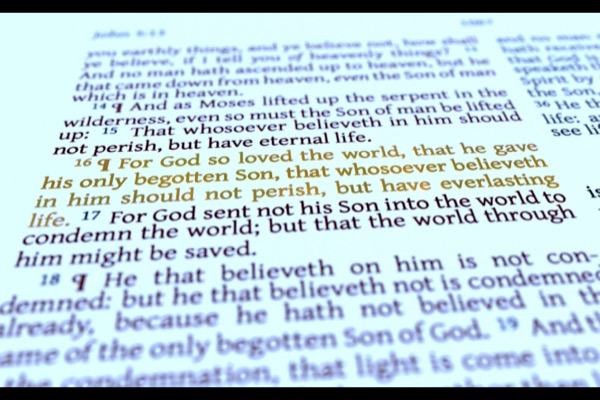 Bible Pdfs